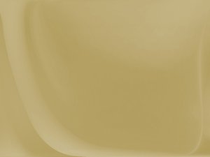 乾安縣蔬菜有限責任公司